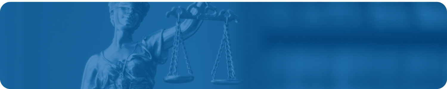 Simplifying Digital Evidence for Prosecutors